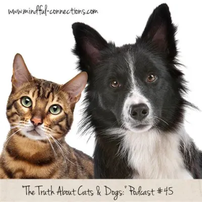 The Truth About Cats & Dogs; A Whimsical Rom-Com Filled With Pawsitively Delightful Charm!